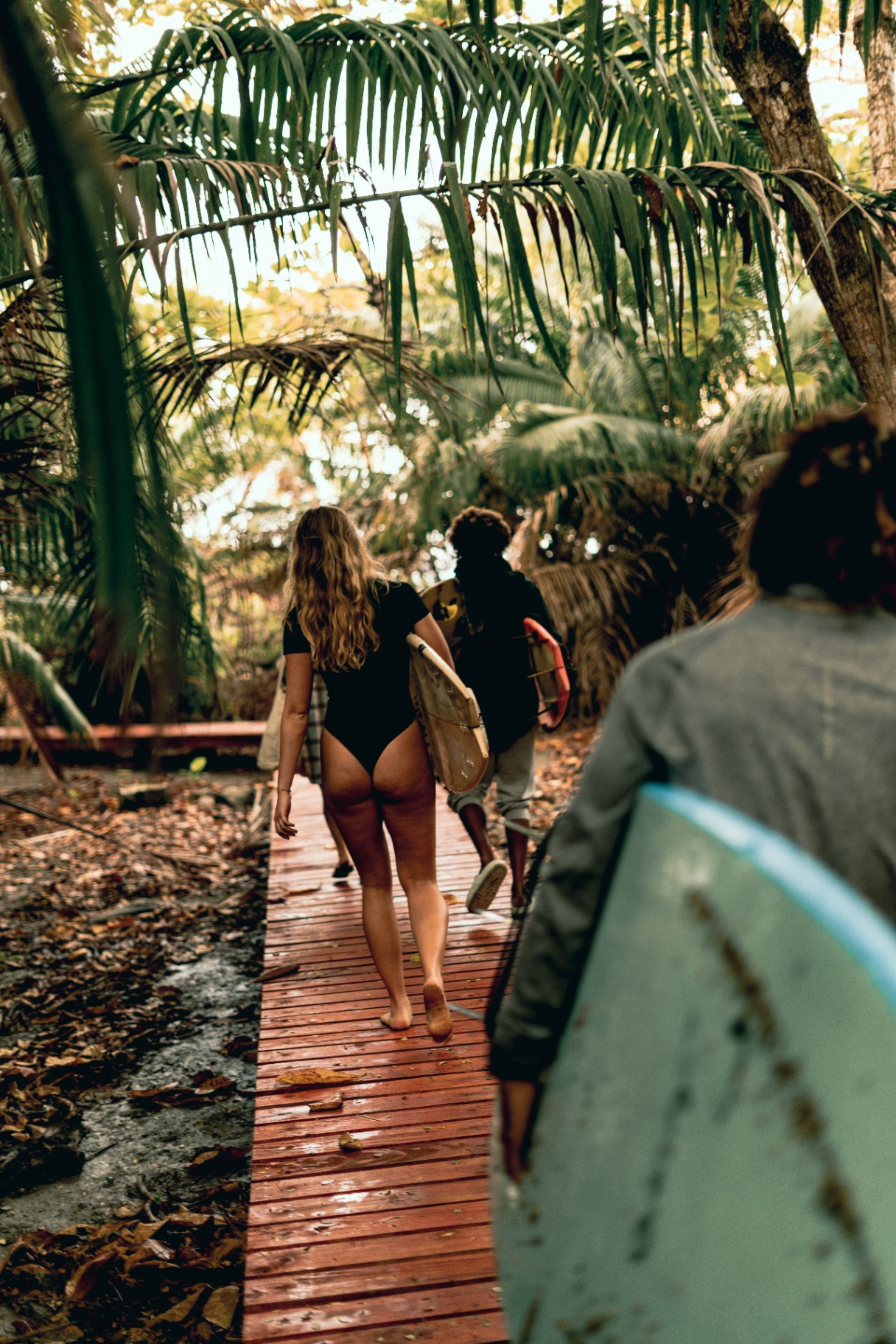 The jungle boardwalk between the rooms at The Baya House in Santa Teresa