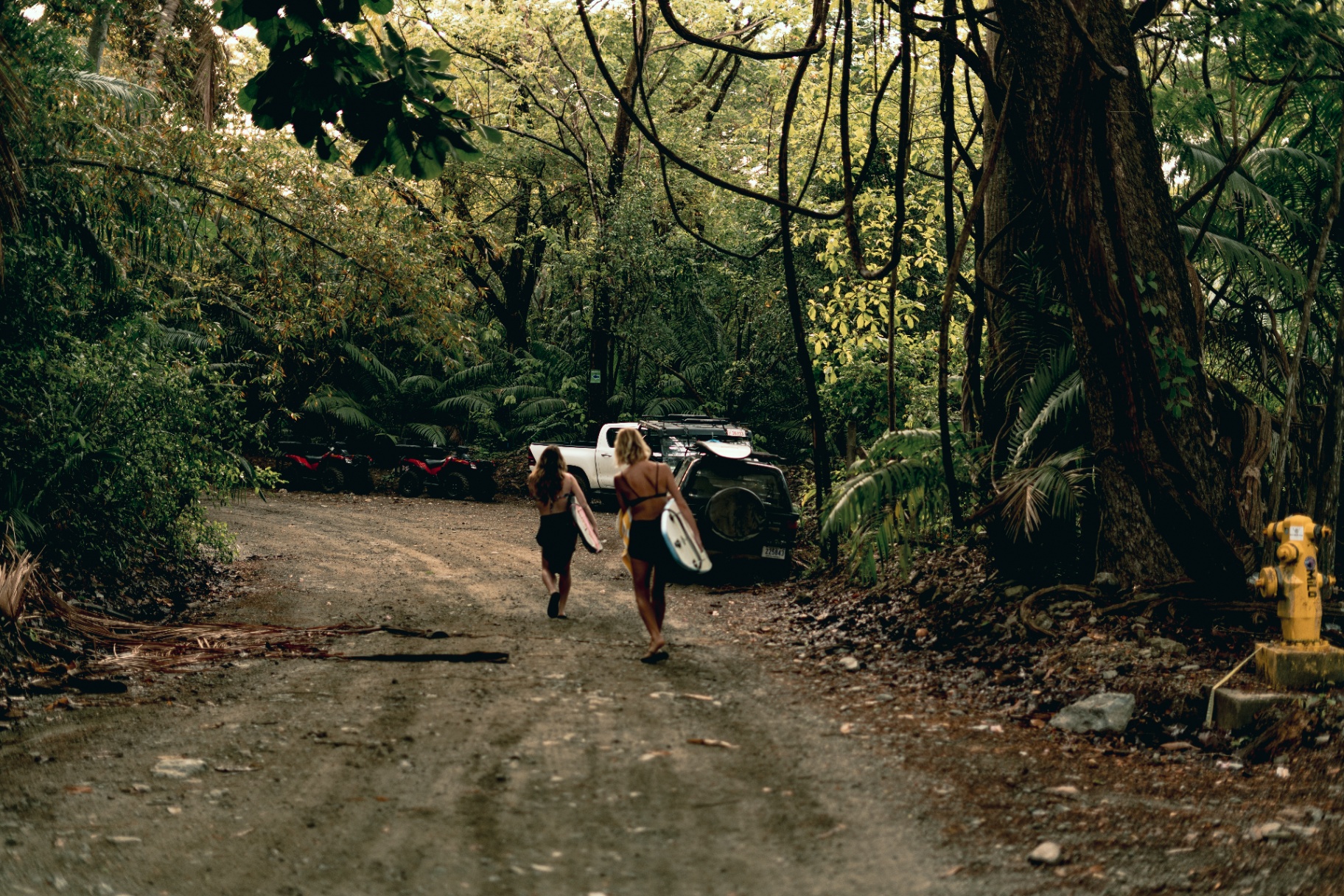 ATVs on the jungle road in Santa Teresa — the dusty trail between beaches and forest