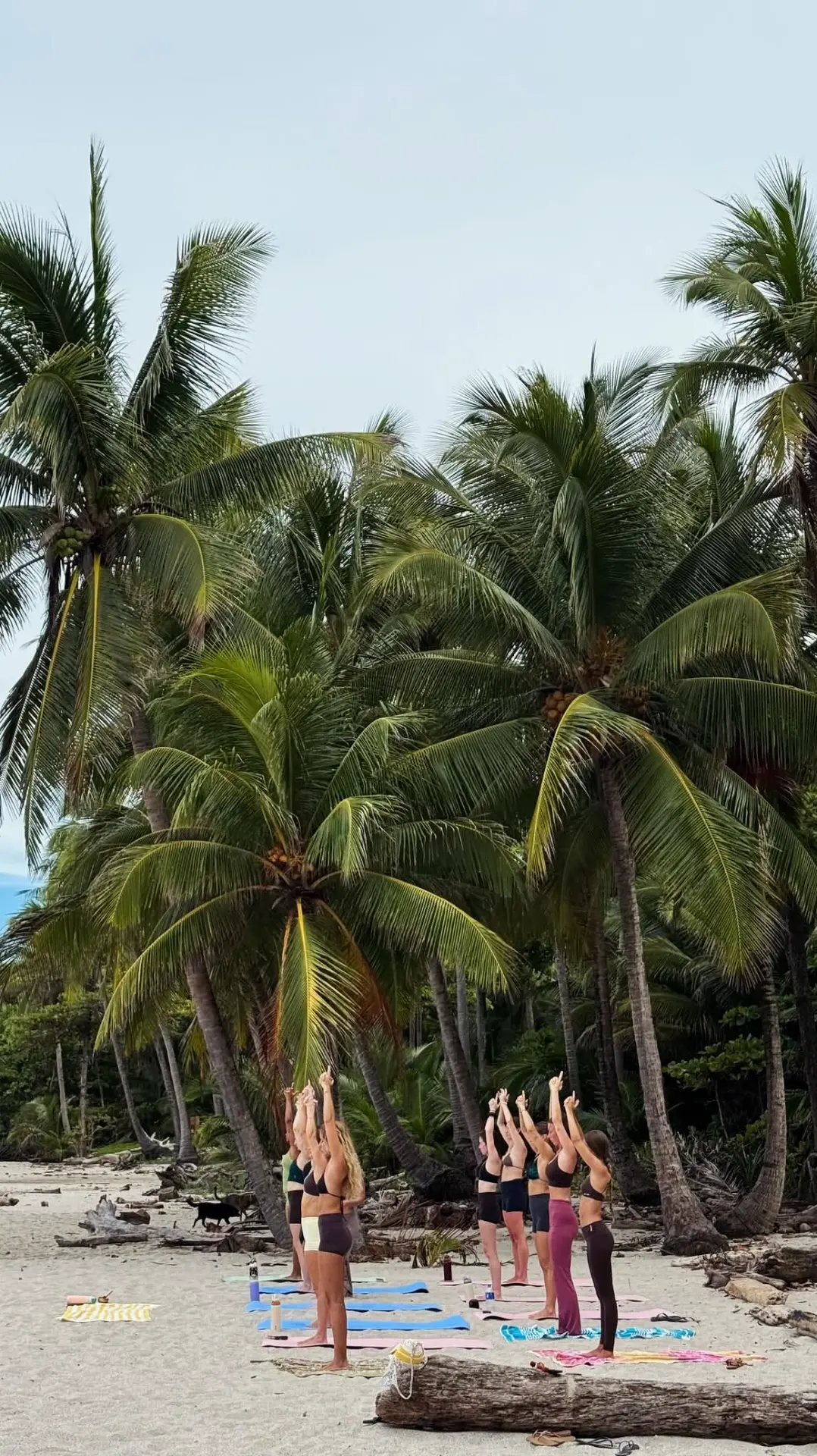 Morning beachfront movement class under the palms in Santa Teresa