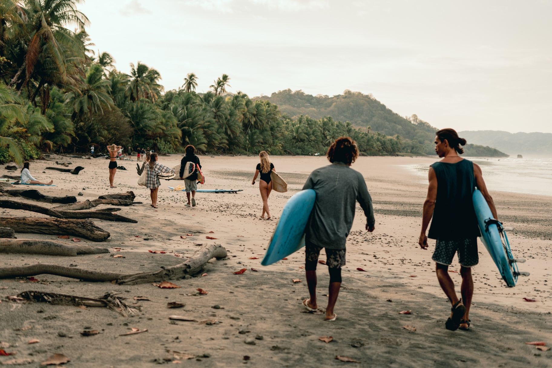 Crew walking through the palms towards the beach with surfboards